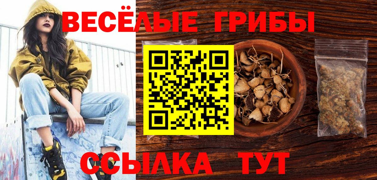 Псилоцибиновые грибы MAGIC MUSHROOMS  Вход с VPN  Богородск  Псилоцибиновые грибы прущие грибы 